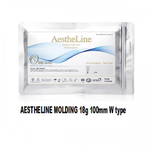 AESTHELINE MOLDING 18g 100mm W type